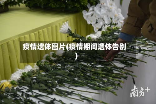 疫情遗体图片(疫情期间遗体告别)-第1张图片