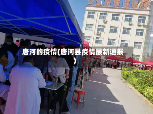 唐河的疫情(唐河县疫情最新通报)-第2张图片