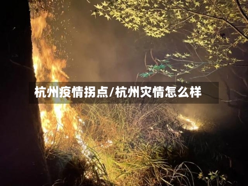 杭州疫情拐点/杭州灾情怎么样-第1张图片