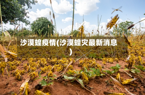 沙漠蝗疫情(沙漠蝗灾最新消息)-第1张图片