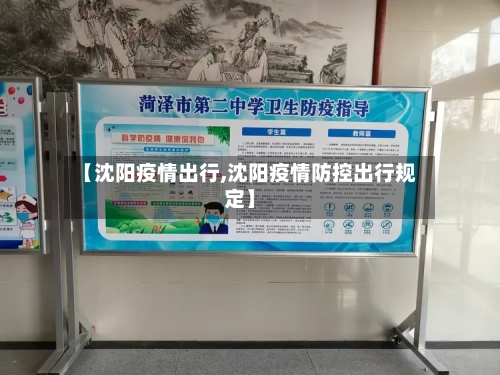 【沈阳疫情出行,沈阳疫情防控出行规定】-第2张图片
