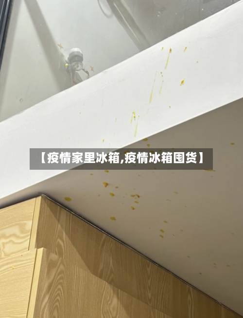【疫情家里冰箱,疫情冰箱囤货】-第2张图片