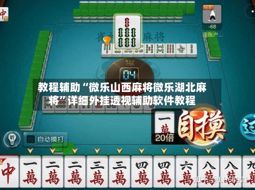 教程辅助“微乐山西麻将微乐湖北麻将”详细外挂透视辅助软件教程-第2张图片