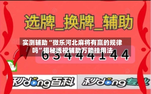 实测辅助“微乐河北麻将有赢的规律吗”揭秘透视辅助万能挂用法-第2张图片
