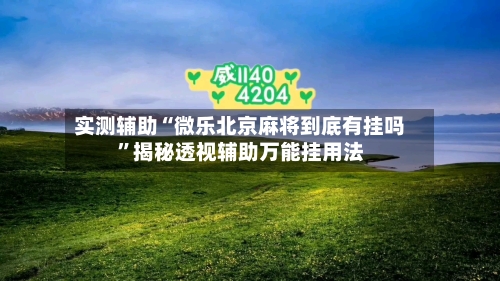 实测辅助“微乐北京麻将到底有挂吗”揭秘透视辅助万能挂用法-第2张图片