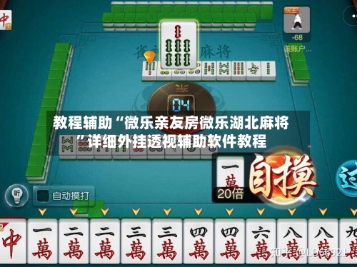 教程辅助“微乐亲友房微乐湖北麻将”详细外挂透视辅助软件教程-第3张图片