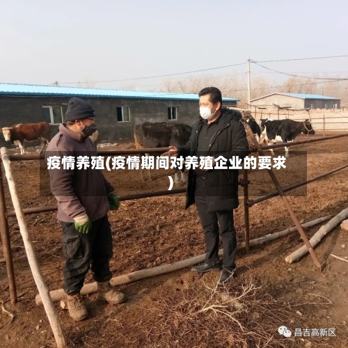 疫情养殖(疫情期间对养殖企业的要求)-第1张图片