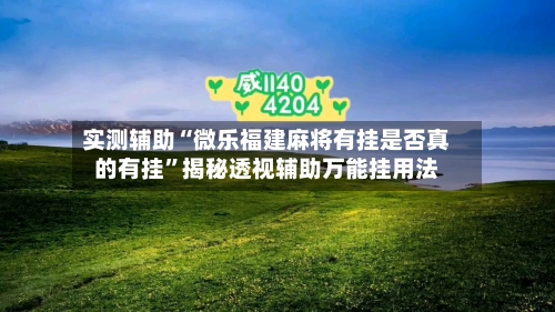 实测辅助“微乐福建麻将有挂是否真的有挂”揭秘透视辅助万能挂用法-第1张图片