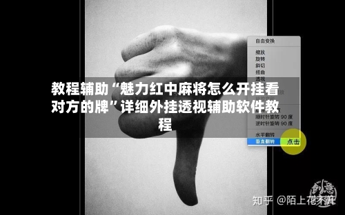 教程辅助“魅力红中麻将怎么开挂看对方的牌	”详细外挂透视辅助软件教程-第2张图片