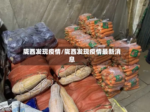 陇西发现疫情/陇西发现疫情最新消息-第1张图片
