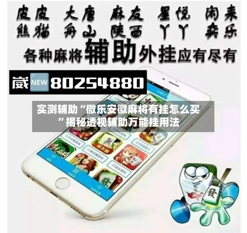 实测辅助“微乐安徽麻将有挂怎么买”揭秘透视辅助万能挂用法-第2张图片