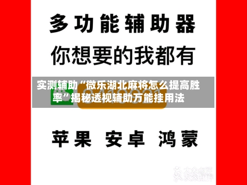 实测辅助“微乐湖北麻将怎么提高胜率”揭秘透视辅助万能挂用法-第2张图片
