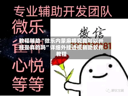 教程辅助“微乐内蒙麻将究竟可以开挂是真的吗	”详细外挂透视辅助软件教程-第2张图片