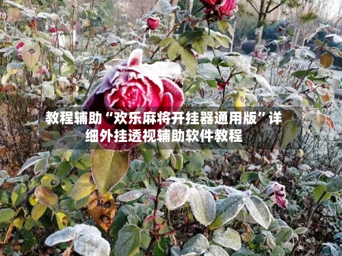 教程辅助“欢乐麻将开挂器通用版	”详细外挂透视辅助软件教程-第1张图片