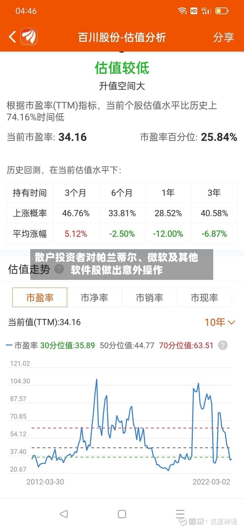 散户投资者对帕兰蒂尔、微软及其他软件股做出意外操作-第2张图片