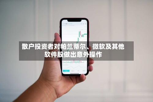 散户投资者对帕兰蒂尔	、微软及其他软件股做出意外操作-第1张图片