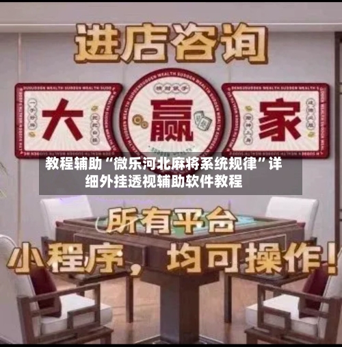教程辅助“微乐河北麻将系统规律”详细外挂透视辅助软件教程-第2张图片
