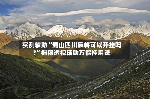实测辅助“蜀山四川麻将可以开挂吗?	”揭秘透视辅助万能挂用法-第1张图片