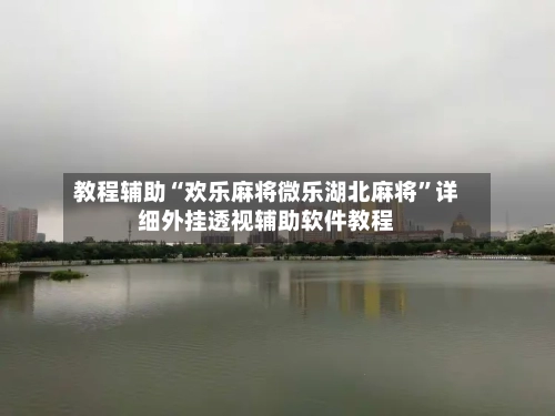 教程辅助“欢乐麻将微乐湖北麻将”详细外挂透视辅助软件教程-第2张图片