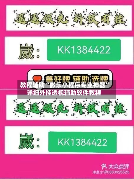 教程辅助“微乐小程序专业神器	”详细外挂透视辅助软件教程-第1张图片