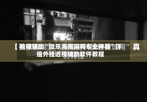 教程辅助“微乐海南麻将专业神器	”详细外挂透视辅助软件教程-第2张图片