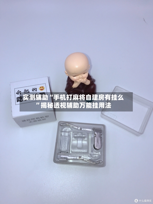 实测辅助“手机打麻将自建房有挂么”揭秘透视辅助万能挂用法-第1张图片