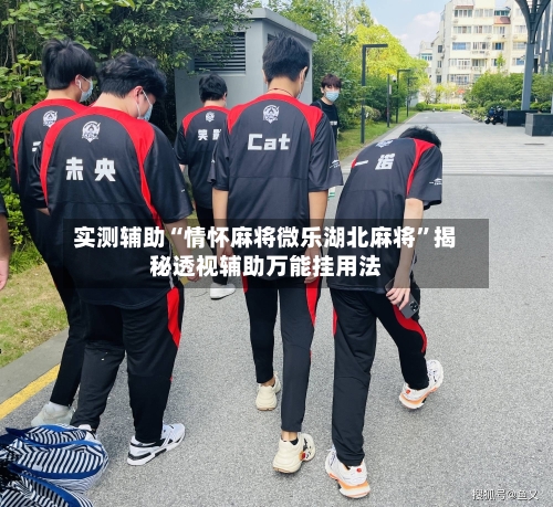 实测辅助“情怀麻将微乐湖北麻将	”揭秘透视辅助万能挂用法-第3张图片