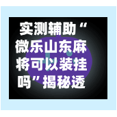 实测辅助“微乐山东麻将可以装挂吗”揭秘透视辅助万能挂用法-第2张图片