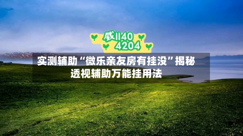 实测辅助“微乐亲友房有挂没”揭秘透视辅助万能挂用法-第1张图片