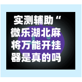 实测辅助“微乐湖北麻将万能开挂器是真的吗	”揭秘透视辅助万能挂用法-第1张图片