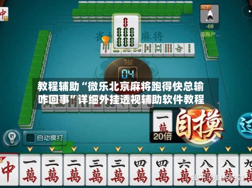 教程辅助“微乐北京麻将跑得快总输咋回事”详细外挂透视辅助软件教程-第3张图片