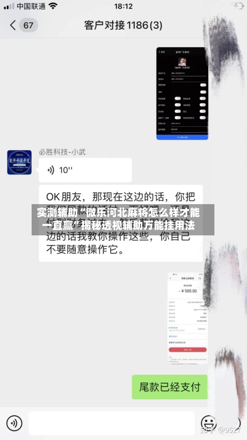 实测辅助“微乐河北麻将怎么样才能一直赢”揭秘透视辅助万能挂用法-第2张图片