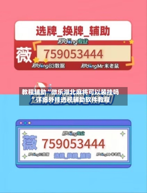教程辅助“微乐湖北麻将可以装挂吗”详细外挂透视辅助软件教程-第2张图片