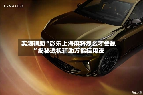 实测辅助“微乐上海麻将怎么才会赢”揭秘透视辅助万能挂用法-第3张图片