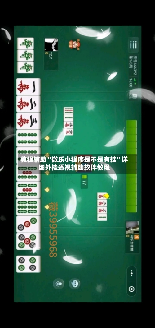 教程辅助“微乐小程序是不是有挂”详细外挂透视辅助软件教程-第2张图片