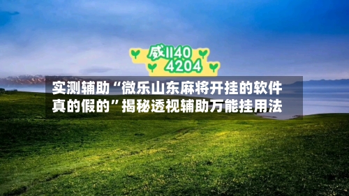 实测辅助“微乐山东麻将开挂的软件真的假的	”揭秘透视辅助万能挂用法-第2张图片