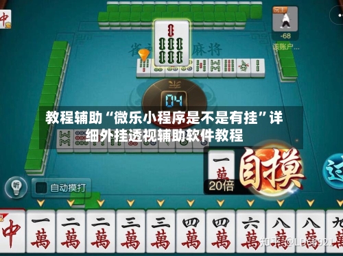 教程辅助“微乐小程序是不是有挂”详细外挂透视辅助软件教程-第1张图片