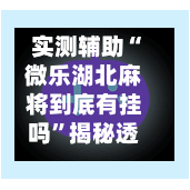 实测辅助“微乐湖北麻将到底有挂吗”揭秘透视辅助万能挂用法-第3张图片