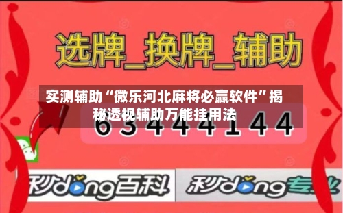 实测辅助“微乐河北麻将必赢软件”揭秘透视辅助万能挂用法-第2张图片