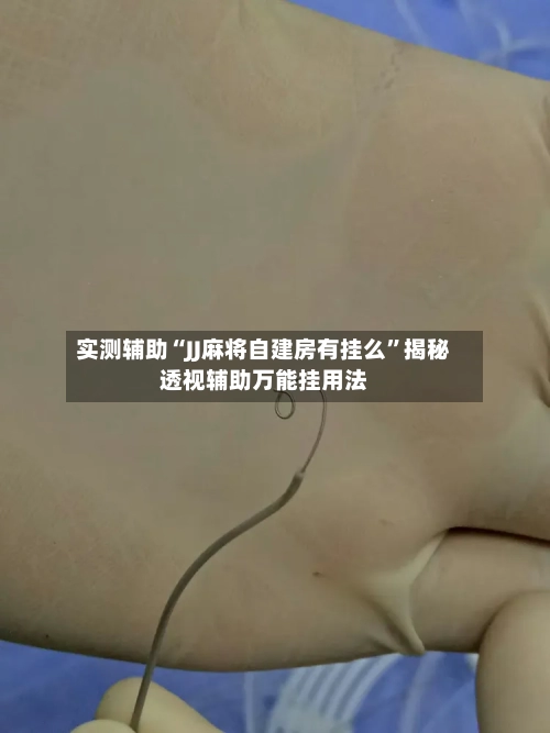 实测辅助“JJ麻将自建房有挂么”揭秘透视辅助万能挂用法-第1张图片