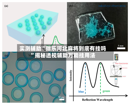 实测辅助“微乐河北麻将到底有挂吗	”揭秘透视辅助万能挂用法-第1张图片
