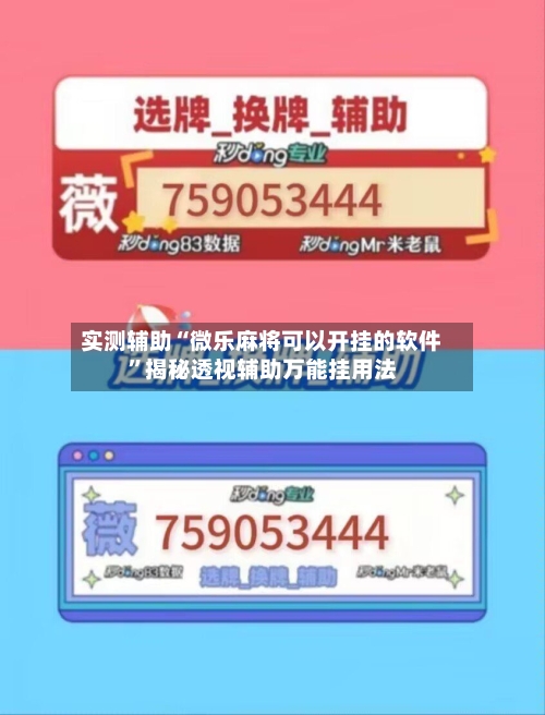 实测辅助“微乐麻将可以开挂的软件	”揭秘透视辅助万能挂用法-第1张图片