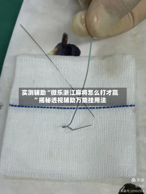实测辅助“微乐浙江麻将怎么打才赢	”揭秘透视辅助万能挂用法-第1张图片