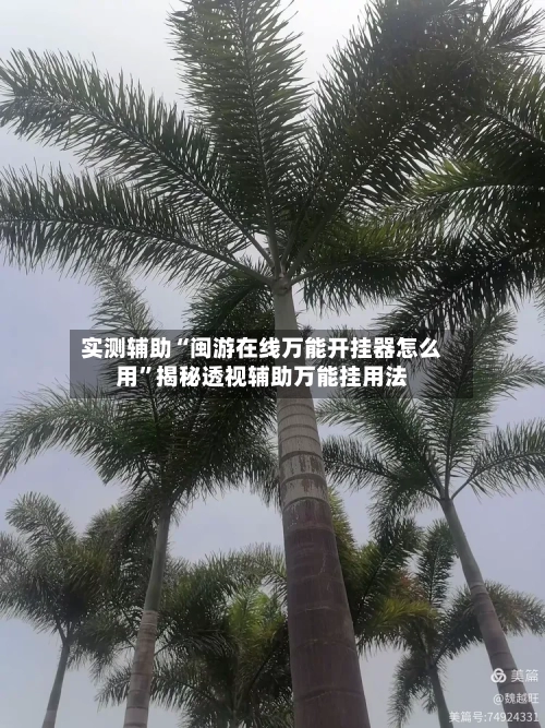 实测辅助“闽游在线万能开挂器怎么用”揭秘透视辅助万能挂用法-第2张图片
