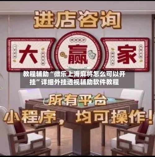 教程辅助“微乐上海麻将怎么可以开挂”详细外挂透视辅助软件教程-第2张图片
