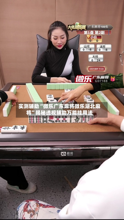 实测辅助“微乐广东麻将微乐湖北麻将	”揭秘透视辅助万能挂用法-第1张图片