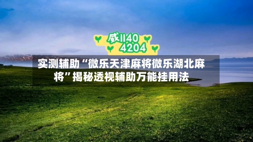 实测辅助“微乐天津麻将微乐湖北麻将”揭秘透视辅助万能挂用法-第2张图片