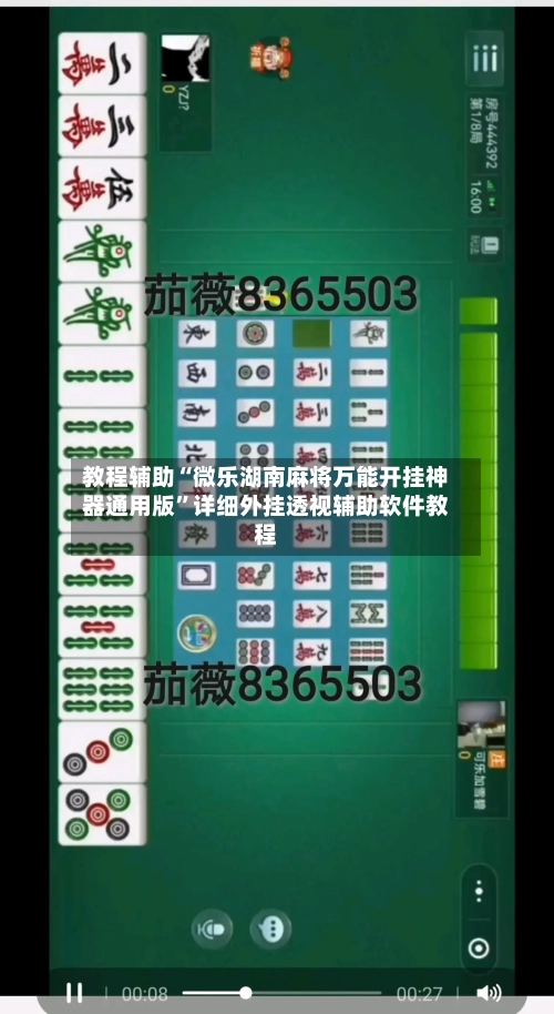 教程辅助“微乐湖南麻将万能开挂神器通用版”详细外挂透视辅助软件教程-第3张图片