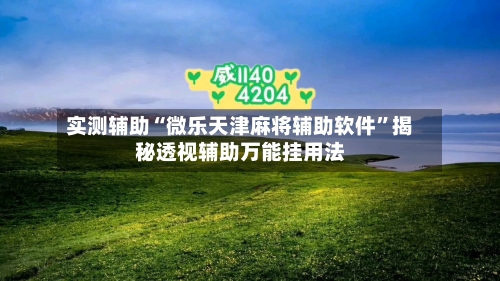 实测辅助“微乐天津麻将辅助软件”揭秘透视辅助万能挂用法-第1张图片