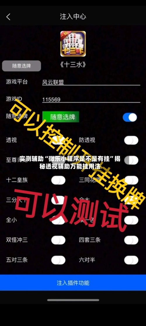 实测辅助“微乐小程序是不是有挂”揭秘透视辅助万能挂用法-第3张图片